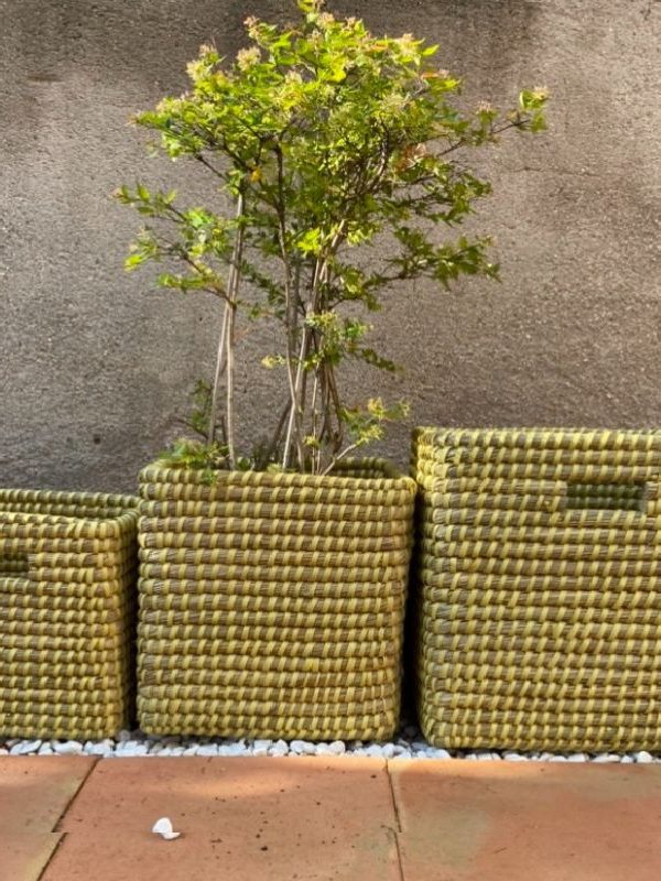 Cesta Kaisa Grass